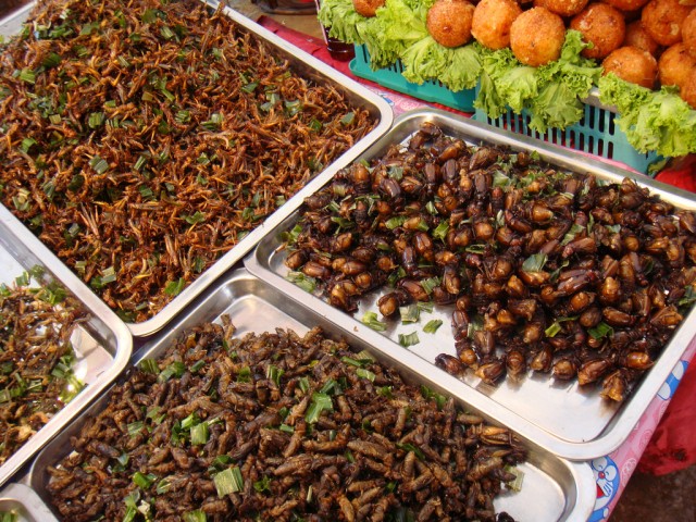Rovar piac Bangkokban