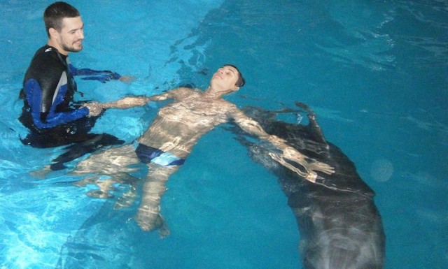 Terápiás delfin