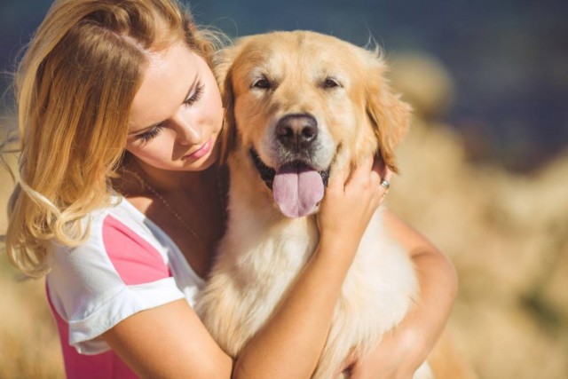 Nő és golden retriever
