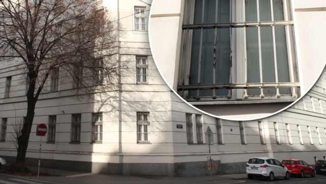 Fahndung in Wien