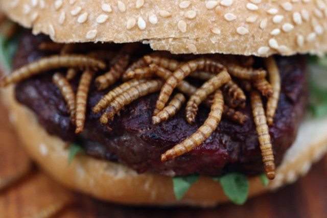 Lisztkukac burger