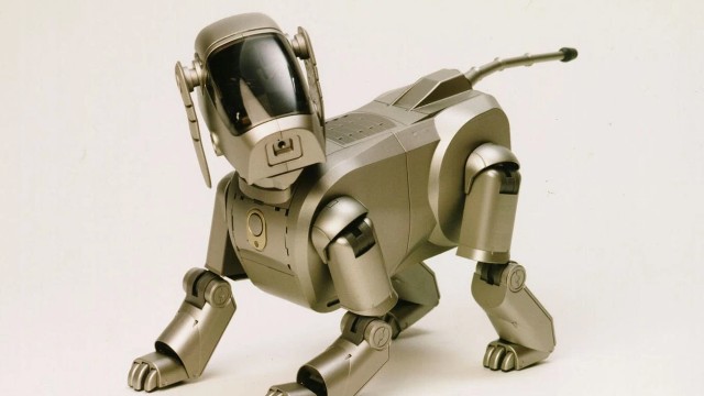 Aibo