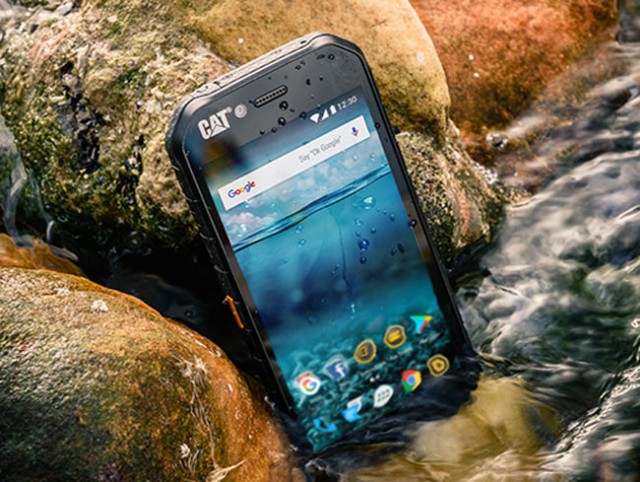 Cat S41