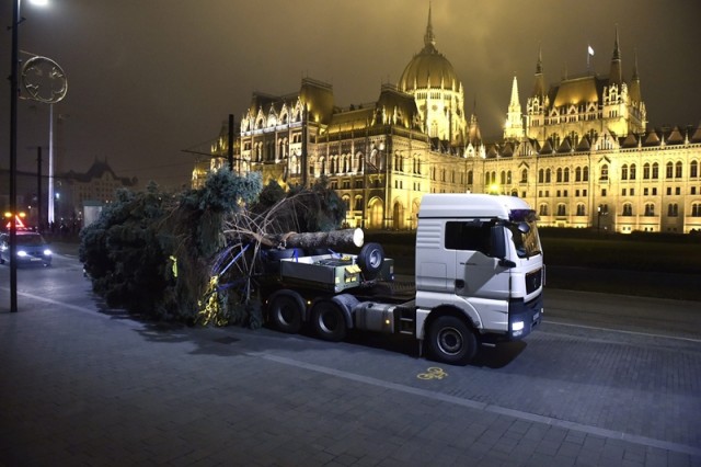 Az ország karácsonyfája Budapesten, a Kossuth téren, háttérben az Országház 2017. november 24-én. A mintegy 20 méter magas, 63 centiméteres törzsátmérőjű, több tonnás ezüstfenyőt, amit egy nyugdíjas házaspár ajánlott fel, Tökölön vágták ki. A karácsonyfa adventtől vízkereszt napjáig díszíti a teret. MTI Fotó: Máthé Zoltán