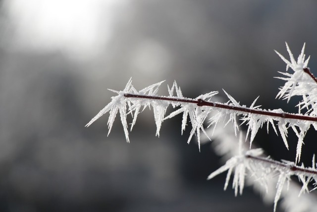 időjárás 2017. 11. 30.