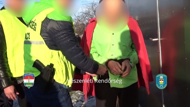 Őrizetbe vétel
