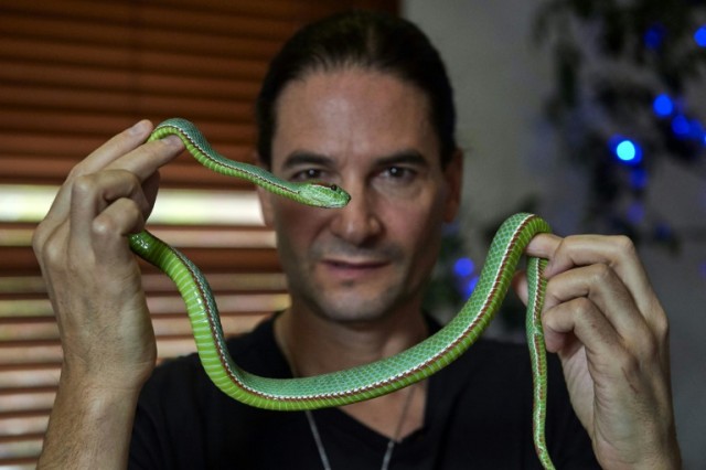 Steve Ludwin kaliforniai rockzenész