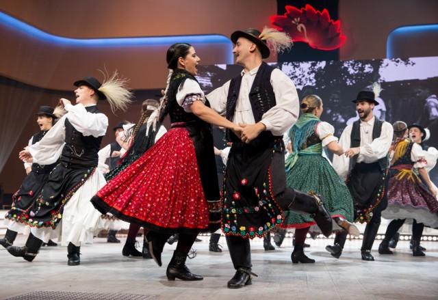 Fölszállott a páva döntősök - 2017. december