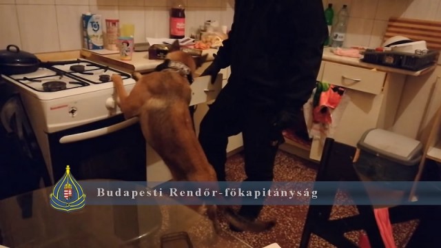 Rendőrség