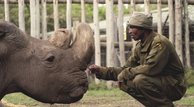 Sudan és gondozója