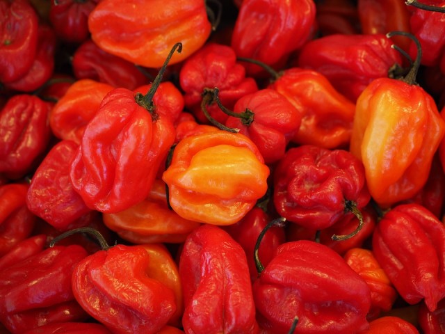 Chili paprika