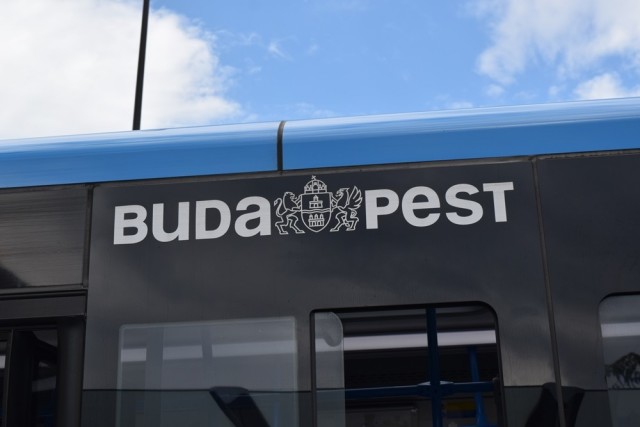 Busz