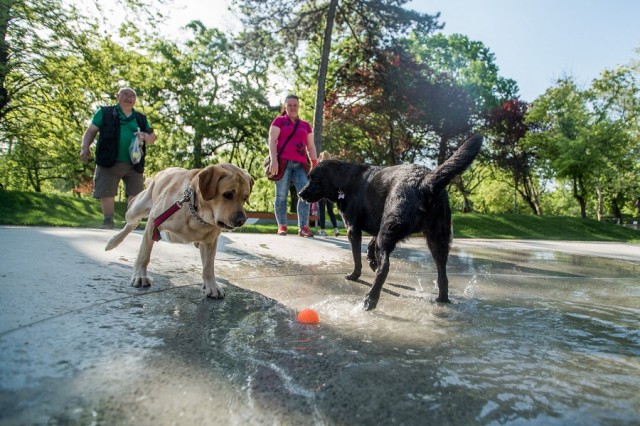Kutyás élménypark a Városligetben