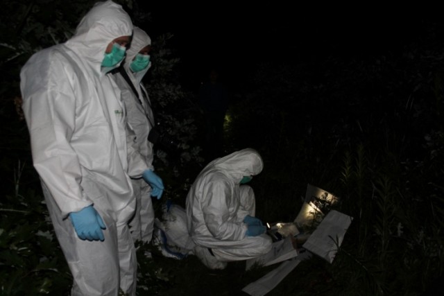 Emberölés miatt körözött férfit fogtak el a rendőrök 2018. 06. 17.