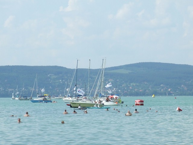 Balaton-átúszás