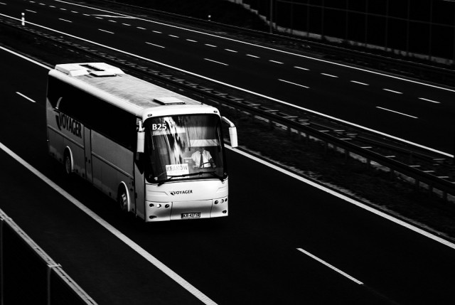 Busz