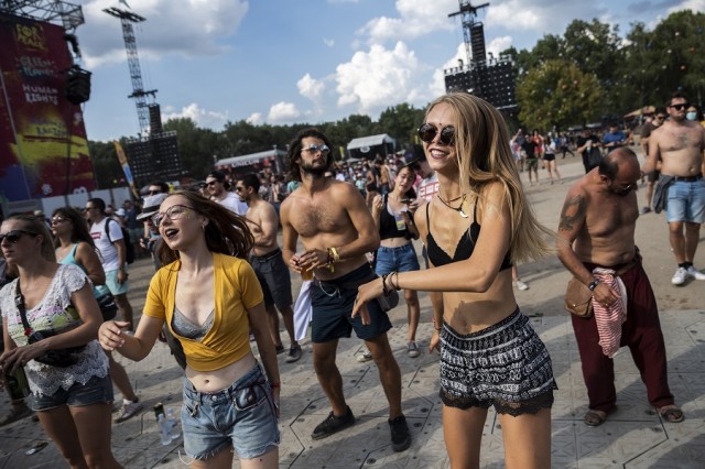 Sziget - Hetedik nap