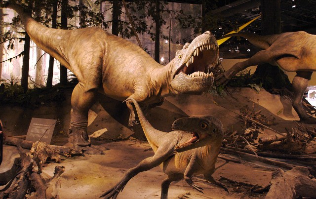 Dinoszauruszok