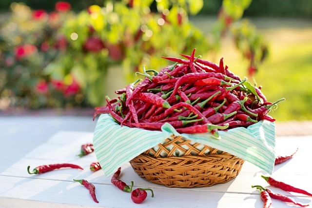 Paprika