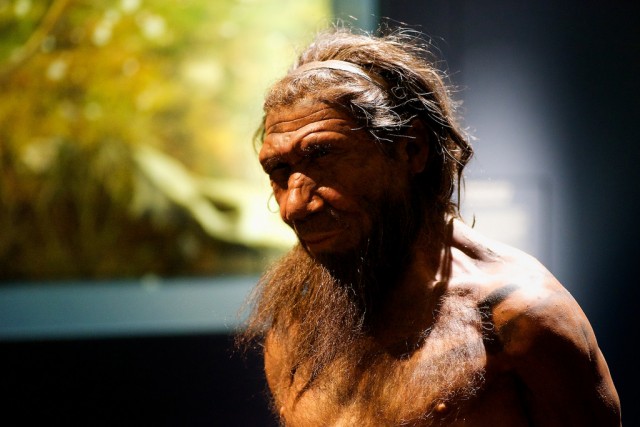 Neandervölgyi ember rekonstrukciója