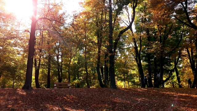 napi időjárás 2018. 10. 14.