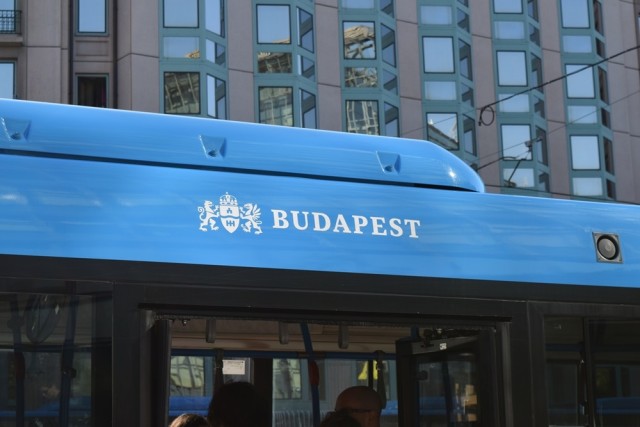 Busz