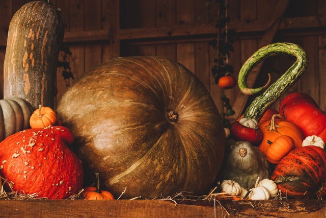 Dísztökök - 2018. október 20.