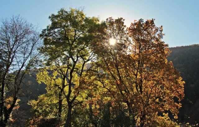 Melegrekordot mértek vasárnap hajnalban 2018. 10. 28.