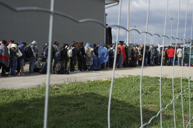 Migráció
