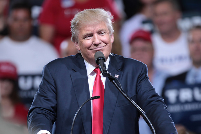 Donald Trumpról neveztek el kétéltűt, amely a homokba dugja a fejét