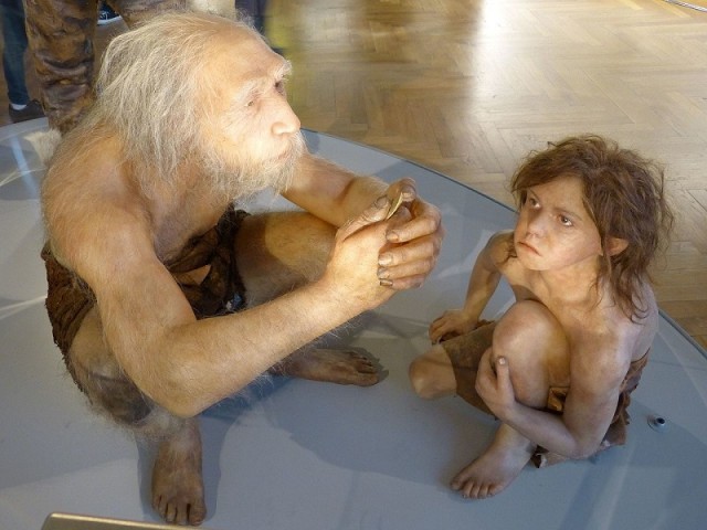 Neandervölgyi emberek művészi rekonstrukciója