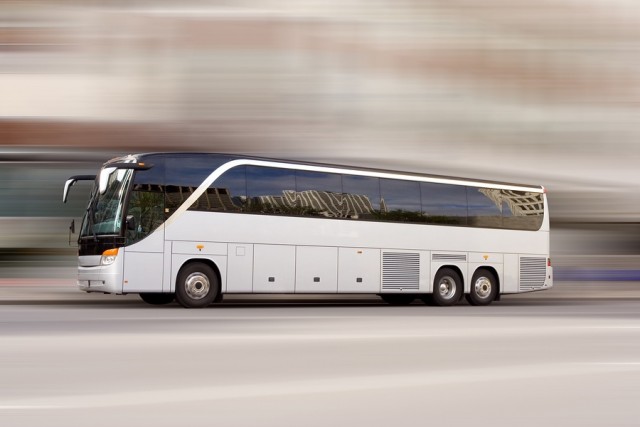 Busz