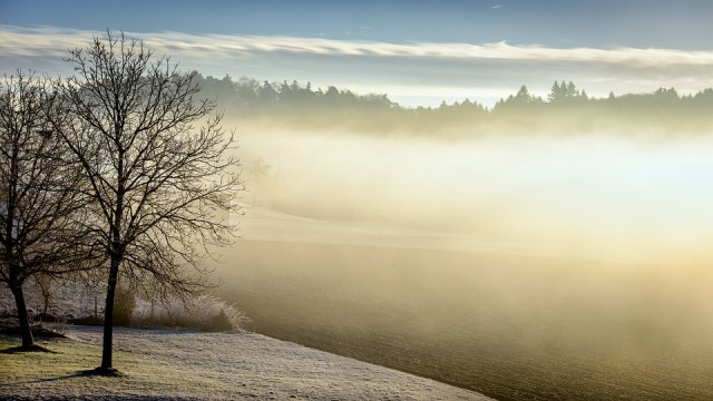 Ismét sűrű ködre figyelmeztet a meteorológiai szolgálat
